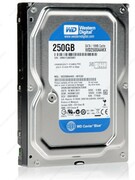 3.5"HDD250GB-SATA-16MBWesternDigital"CaviarBlue(WD2500AAKX)"