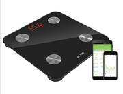 ВесынапольныеACMESC101SmartScaleBlack