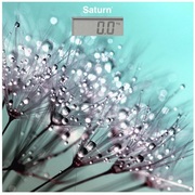 ВесынапольныеSaturnST-PS0286180kg