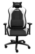 TrustGamingChairGXT714WRuya-Black/White,PUleather,3Darmrests,Class4gaslift,90°-180°adjustablebackrest,Strongandrobustmetalbaseframe,Includingremovableandadjustablelumbarandneckcushion,Durabledoublewheels,upto195cm,u