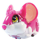 TheAmazingZhuStuntPets