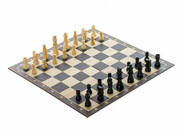 SAHCUPLANSETAPIESEDINLEMN6033313