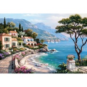 Puzzle2000elementeSalvare