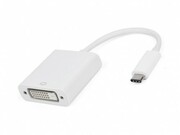 AdapterUSBTYPECtoDVIFEMALE,4KX2K30HZ,APC-631001