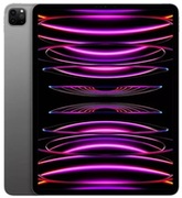 Apple11-inchiPadPro256GbWi-FiSpaceGrey(MNXF3RK/A)