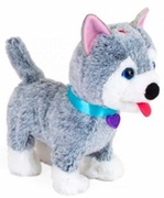 NorielPets-CatelusulOliver