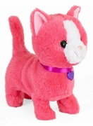 NorielPets-PisicutaTabby