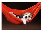 ПазлEduca500Sleepinginahammock