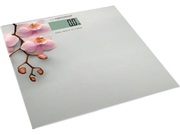 ВесынапольныеEsperanzaOrchidEBS010,White