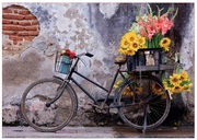 ПазлEduca500Bicyclewithflowers