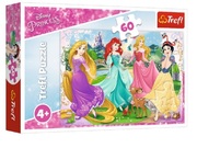 Puzzles-"60"-FavoritePrincesses/DisneyPrincess