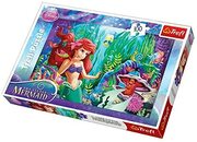 Puzzles-"100"-Hideandseek/DisneyPrincess