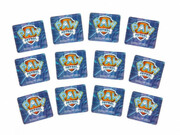 CGIPRMPawPMemoGm48Crd6033326