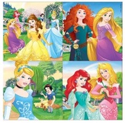 ProgressiveDisneyPrincess12+16+20+25case