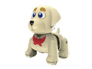 NICOROZUPPIESCATELULINTERACTIV