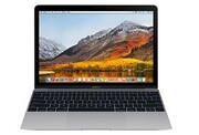 12.0"AppleMacBookSpaceGrayZKMLH72RU/A,IntelDualCoreM31.1-2.2GHz/8GBDDR3/256GBSSD/IntelHD515/FaceTimeCamera/Wi-Fi802.11ac/USB-Cport/Bluetooth/MacOSX/FaceTimeCamera/12"RetinaDisplay(2304x1440)(laptop/ноутбук)