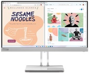 23.8"LENOVOL24e-40,Silver,VA,1920x1080,100Hz,FreeSync,4ms,250cd,CR3000:1,D-Sub+HDMI