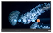 InteractiveDisplayStarBoardIFPD-YL6-65AOC:Pro,65",4KTouch,Android11,8/64Gb,Cam,MB311D2