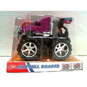 DickieautoGeep4*412cm