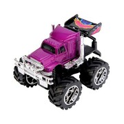 DickieautoGeep4*412cm