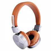 HocoHeadset,W2