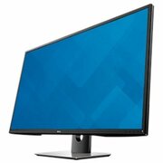 МониторDELLP4317QBlack