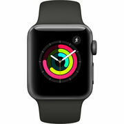 WatchApple38mmSeries3GPS(MR352)/SPACEGRAYALUMINIUM+GraySportBand