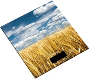 ВесыкухонныеSaturnST-KS7811