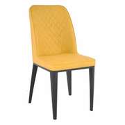 B-02~Yellow+blacklegs