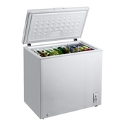 LadafrigorificaGHIOCELGH-CF250