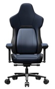 ErgonomicGamingChairThunderX3COREMODERNBlue,Usermaxloadupto150kg/height170-195cm