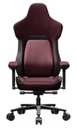 ErgonomicGamingChairThunderX3COREMODERNRed,Usermaxloadupto150kg/height170-195cm
