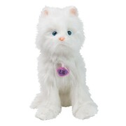 NorielPets-PisicaLiliNORIEL