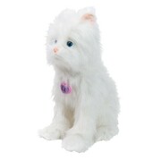 NorielPets-PisicaLiliNORIEL