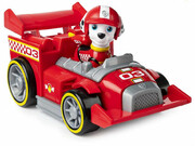 PawPatrolThemeVehicleReadyRace6054502