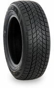 Шина225/50R1798HZetaAntarcrica5XLзима