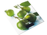 КухонныевесыSaturnST-KS7827