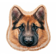 STIP-PernacaineShepherd