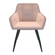 ScaunDC-1936Iris~Pudra+Black