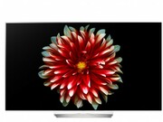 ТелевизорLG55EG9A7V