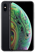 СмартфонAppleiPhoneXsMax,d256GbSpaceGrey