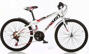 ВелосипедDinoBikesFastBoy24"(White)