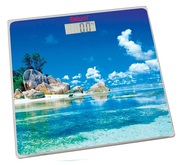 ВесынапольныеSaturnST-PS0236