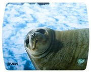 ~MousepadSVENUB(8pictures)