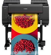 "PlotterCanonimagePROGRAFPRO-2100PrinterType:12Colour24""/610mm/A1PrintTechnology:CanonBubblejetonDemand12coloursintegratedtype(12chipsperprintheadx1printhead)PrintResolution:2,400x1200dpiNumberofNozzles:18,432noz