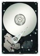 3.5"HDD500GBSeagateBarracudaES.2ST3500320NS,7200rpm,SATA2,32MB(harddiskinternHDD/внутреннийжесткийдискHDD)
