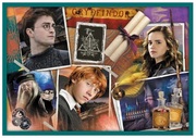 ПазлTrefl10in1IntheworldofHarryPotter(90392)
