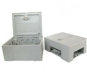 Boxforplinths,30pairsdistributionboxwithoutkronemoudle