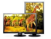 27.0"AOC"Q2770Pqu",Black(s-PLS,2560x1440,5ms,300cd,LED80M:1(1000:1),DVI+HDMI+DP,HAS,Spk)