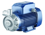 PedrolloPQ3000вихревойнасос